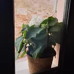 Creta Home In Heraklion Center 1